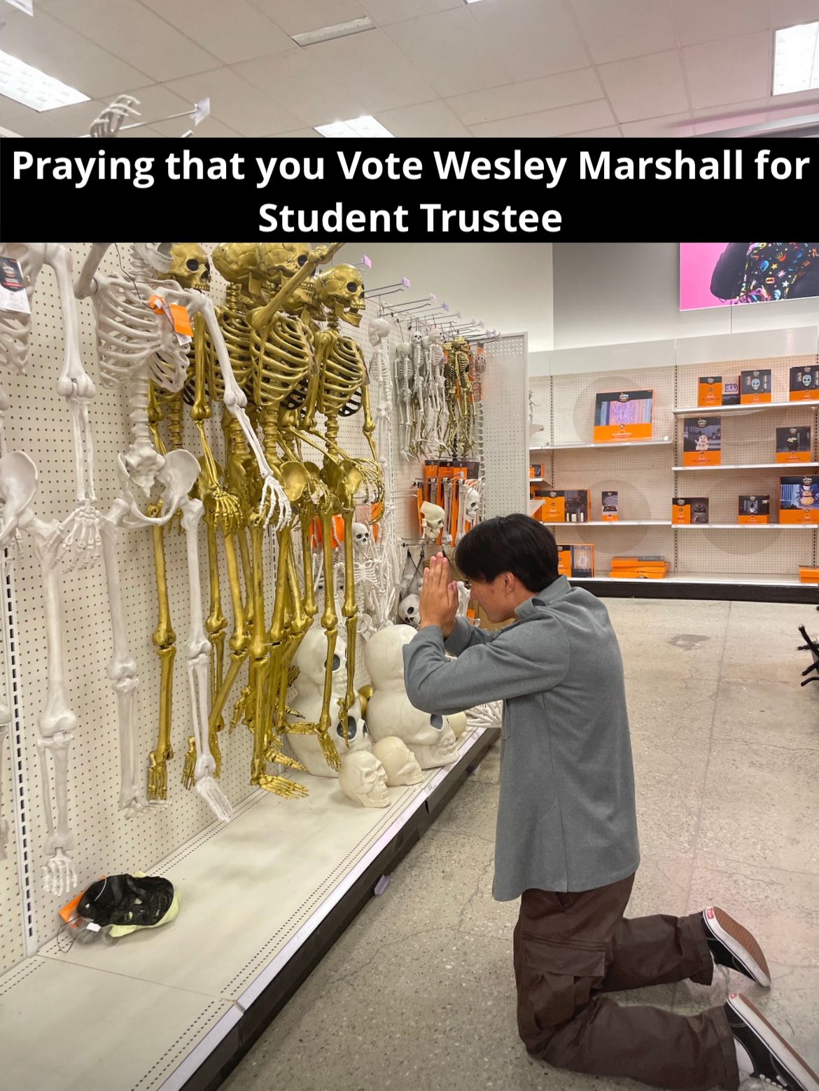 Marshall's campaign poster for Student Trustee