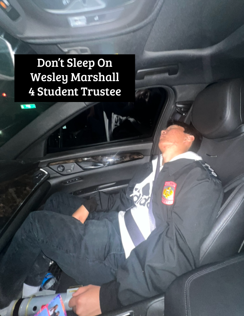 Marshall's campaign poster for Student Trustee